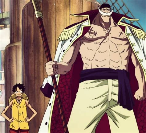 Changing the future (redone) by the patient one The crew each have a chance to go back in time and fix one aspect of their lives, creating an AU for their. . Future luffy meets whitebeard fanfiction